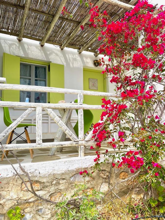 Villa Zografos 伊拉克利亚岛 外观 照片