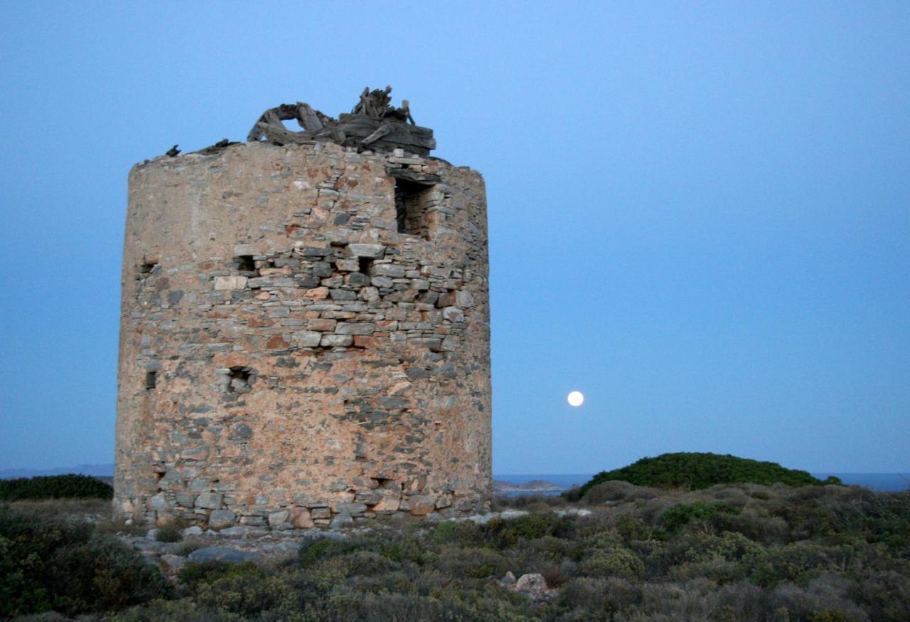 Villa Zografos 伊拉克利亚岛 外观 照片