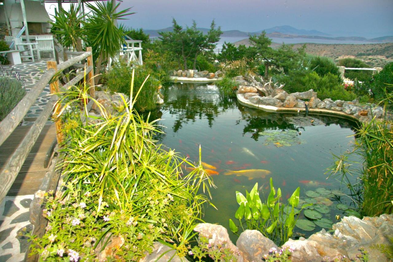 Villa Zografos 伊拉克利亚岛 外观 照片