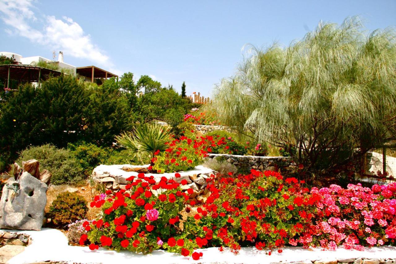 Villa Zografos 伊拉克利亚岛 外观 照片