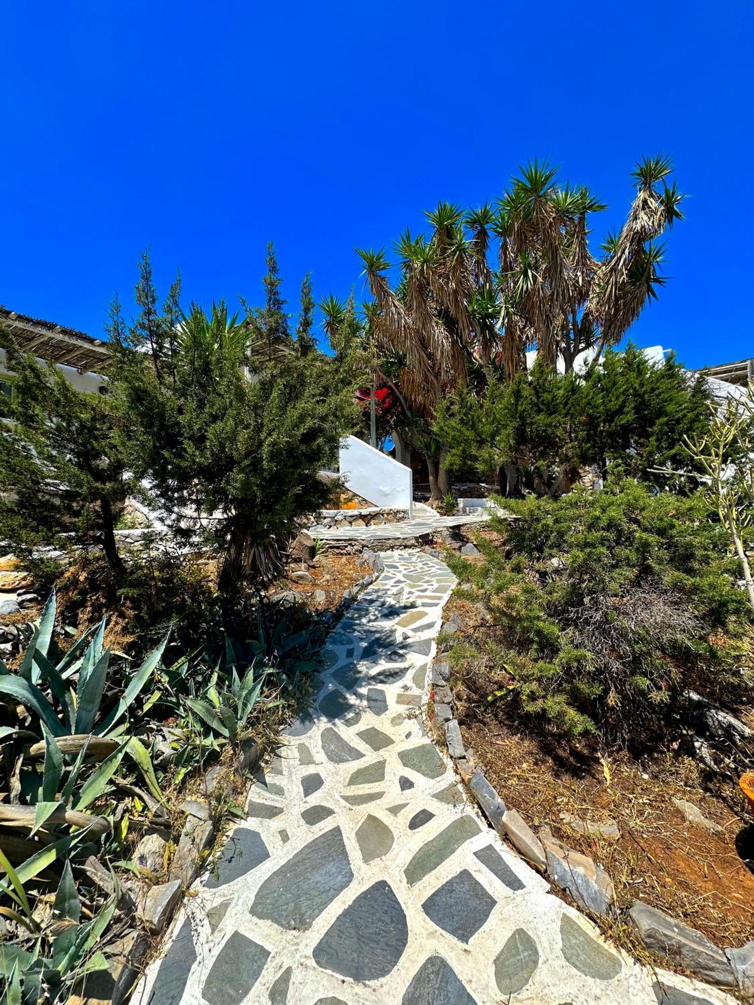 Villa Zografos 伊拉克利亚岛 外观 照片