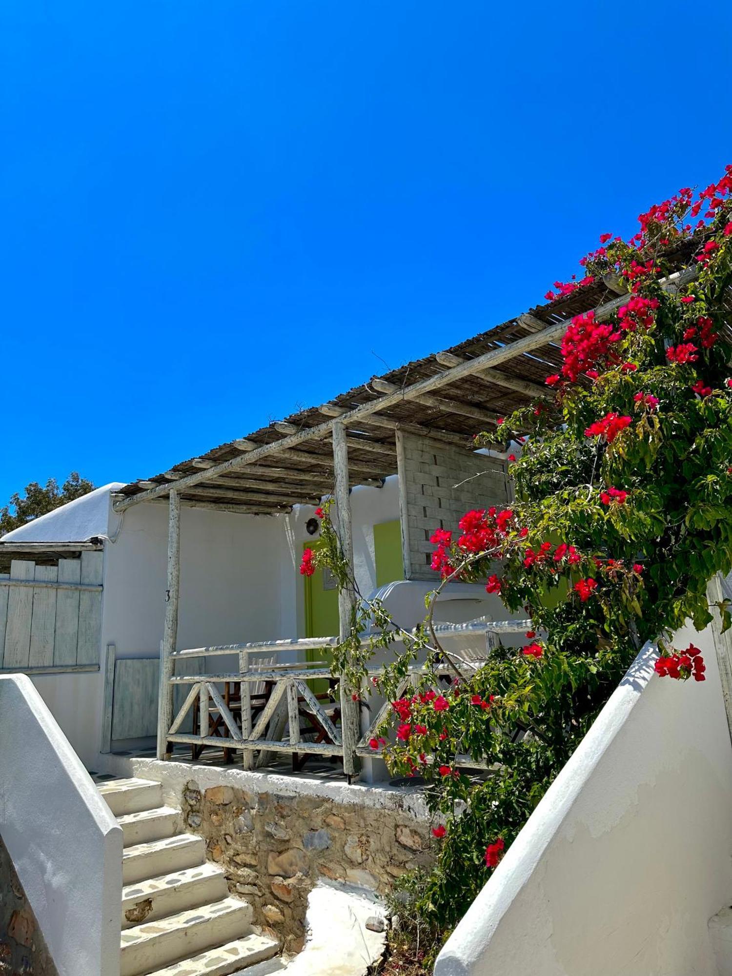 Villa Zografos 伊拉克利亚岛 外观 照片
